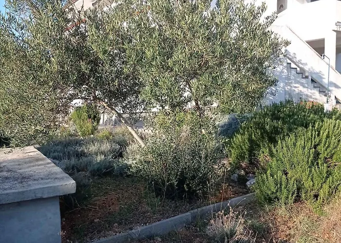 In Barbat - Insel Rab 17610 Apartamento